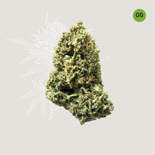 Oregon Guava - CBD Organic Hemp Flower