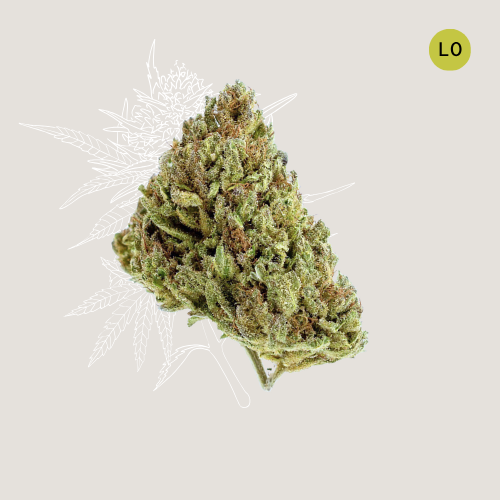Lemon Octane - CBD Organic Hemp Flower