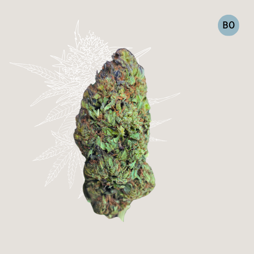 Blue Orchid - CBD Organic Hemp Flower