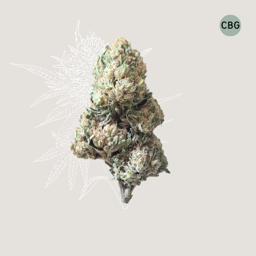 White - CBG Organic Hemp Flower