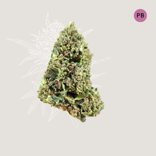 Pear Blossom - CBD Organic Hemp Flower