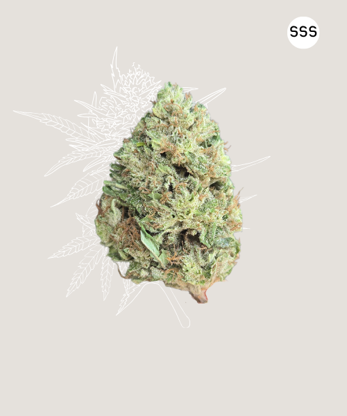 Sour Special Sauce - CBG Organic Hemp Flower