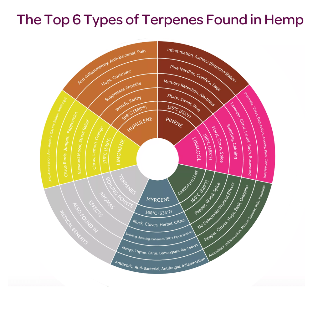 Terpenes What Are They + Their Benefits and Effects ORGANIC GREEN ROOTS