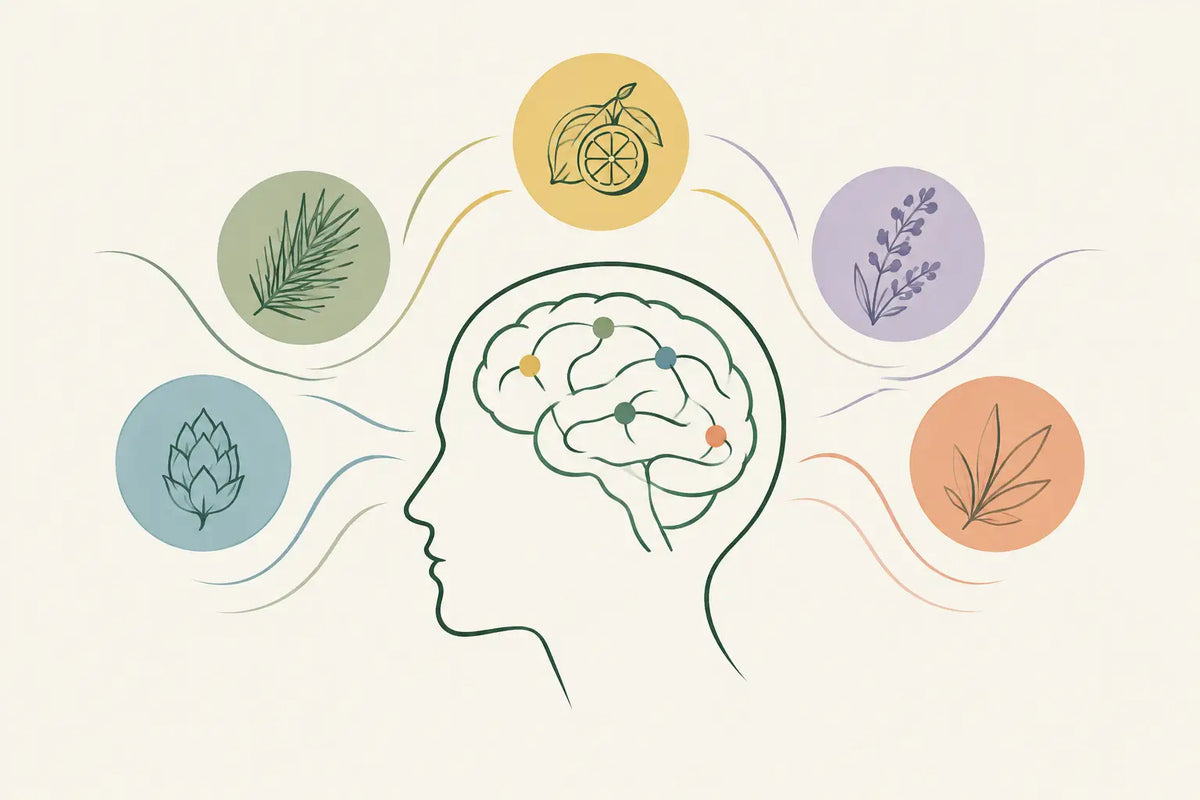 Terpene Synergy and the Intelligence of Hemp