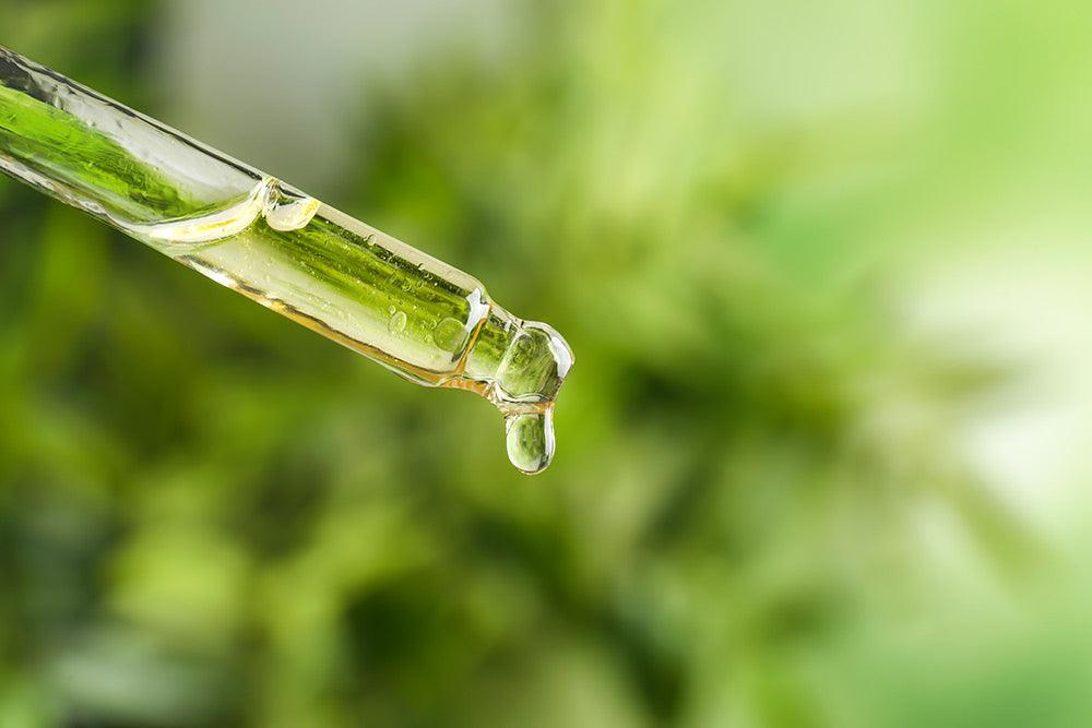 The Endocannabinoid System: What It Is and How It Works - OGR LLC