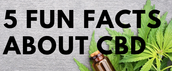 5 Fun Facts you probably didn't know about CBD