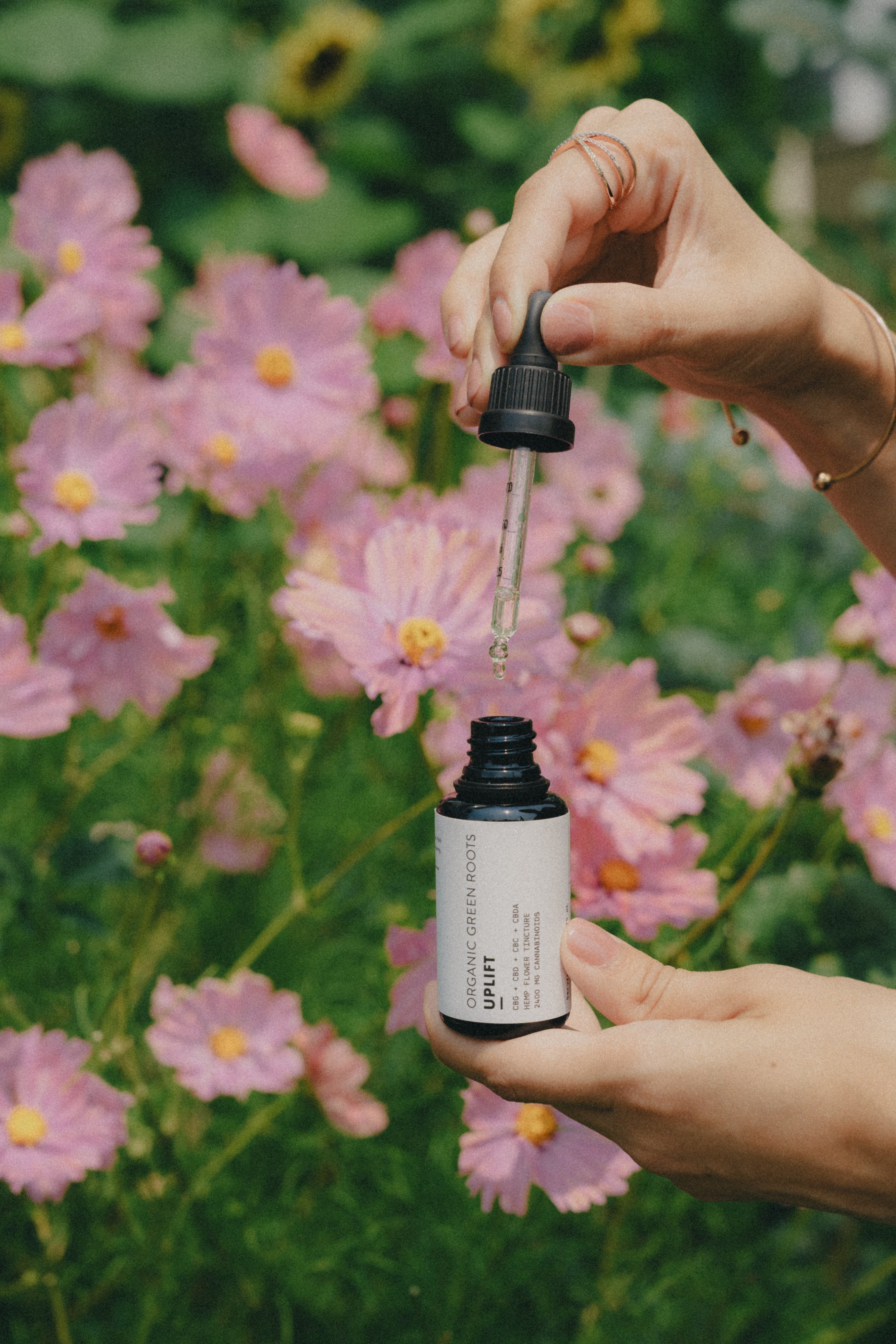 UPLIFT – Multi-Cannabinoid Oil