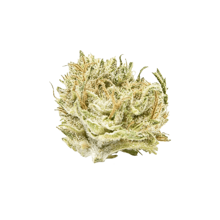 White CBG | Organic CBG Hemp - Small Flower